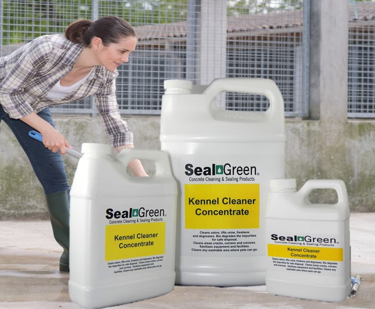 Seal Green